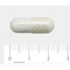 Orthica L-Lysine-500 90 Capsules - Afbeelding 3