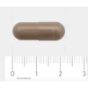AOV 1030 Paddenstoelen complex 90 vegacaps - Afbeelding 2