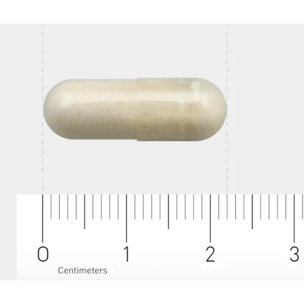 AOV 1132 Lactase 60 Capsules - Afbeelding 2
