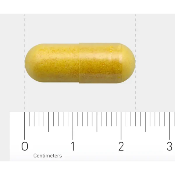AOV 240 Vitamine B-complex 60 vegacaps - Afbeelding 2