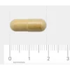 AOV 819 Mariadistel 90 Vegacaps - Afbeelding 2